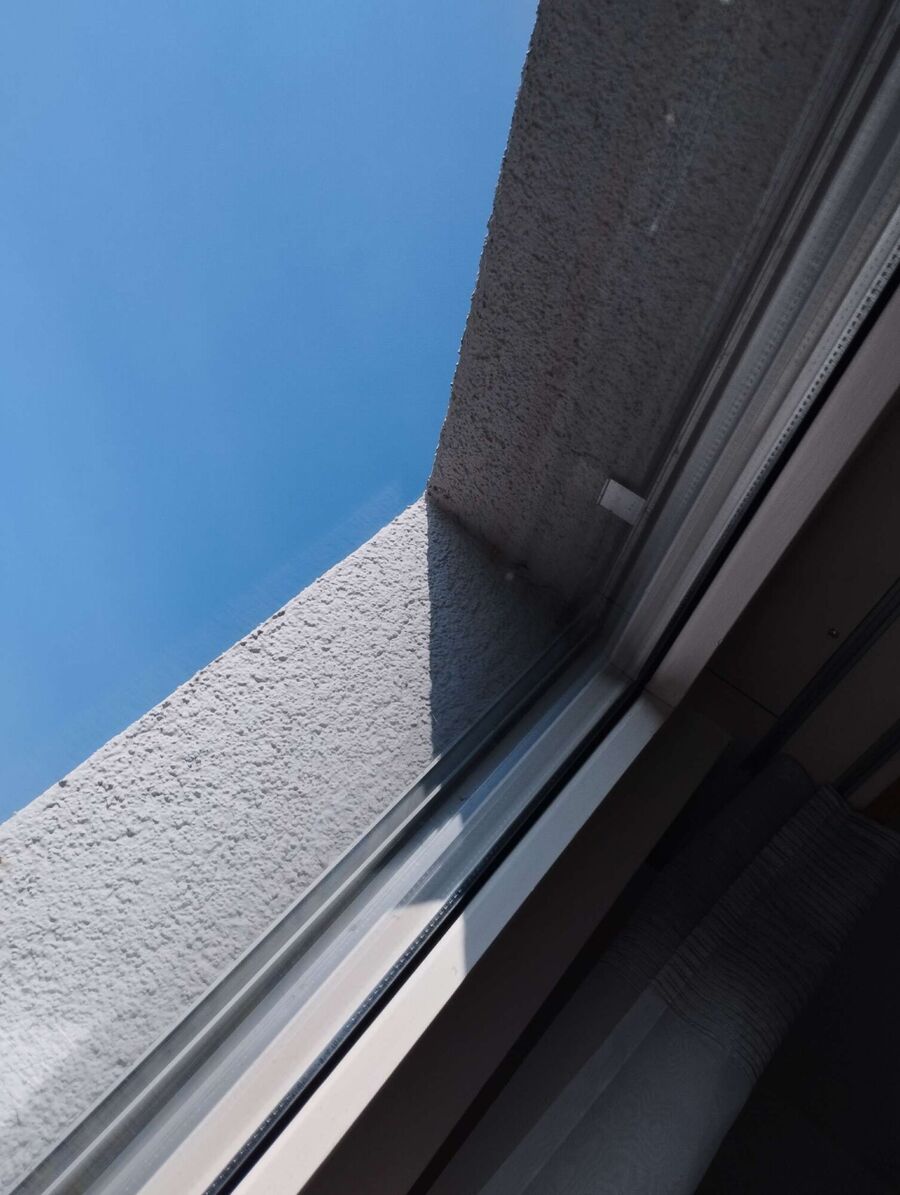 ruche abeille maison que faire