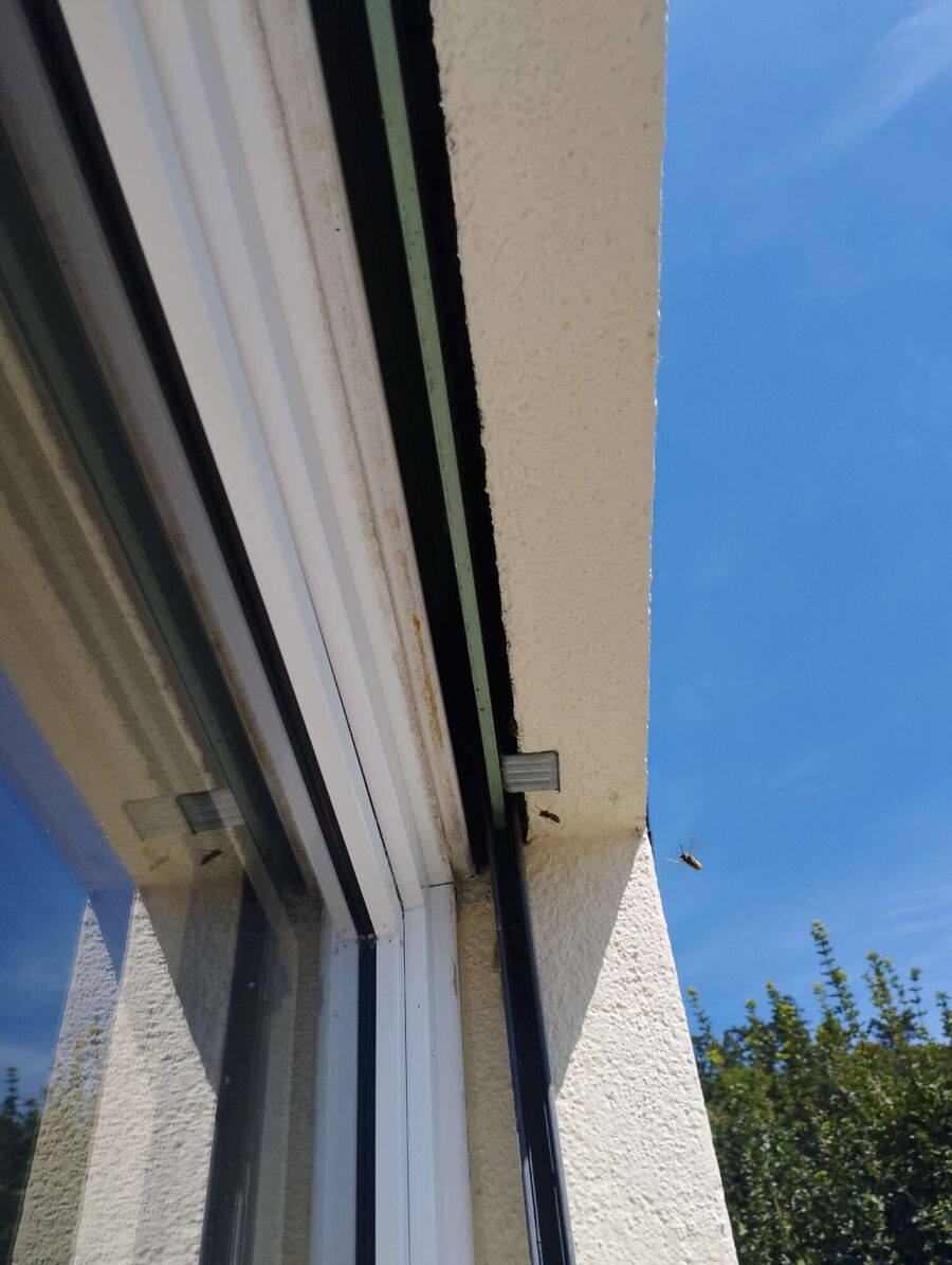 nid d abeille que faire