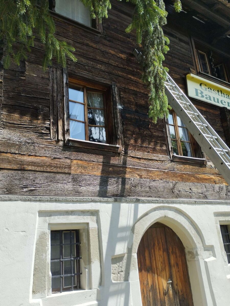 ruche abeille maison que faire