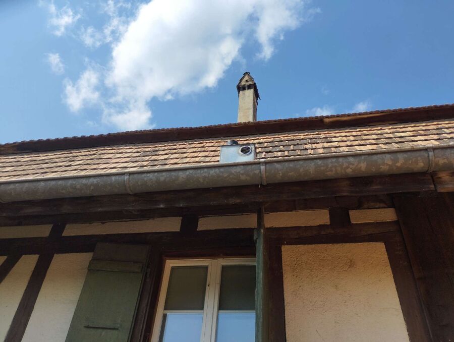 ruche abeille maison que faire