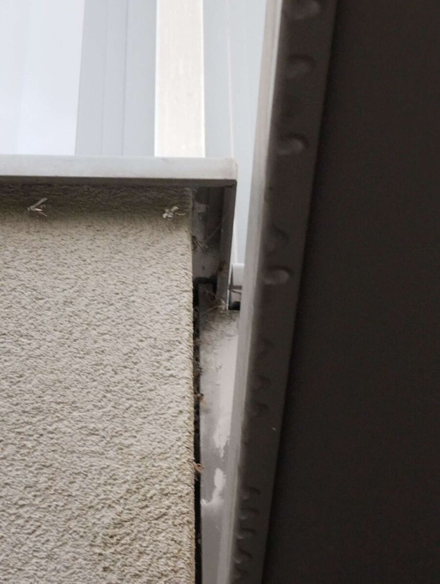 ruche abeille maison que faire