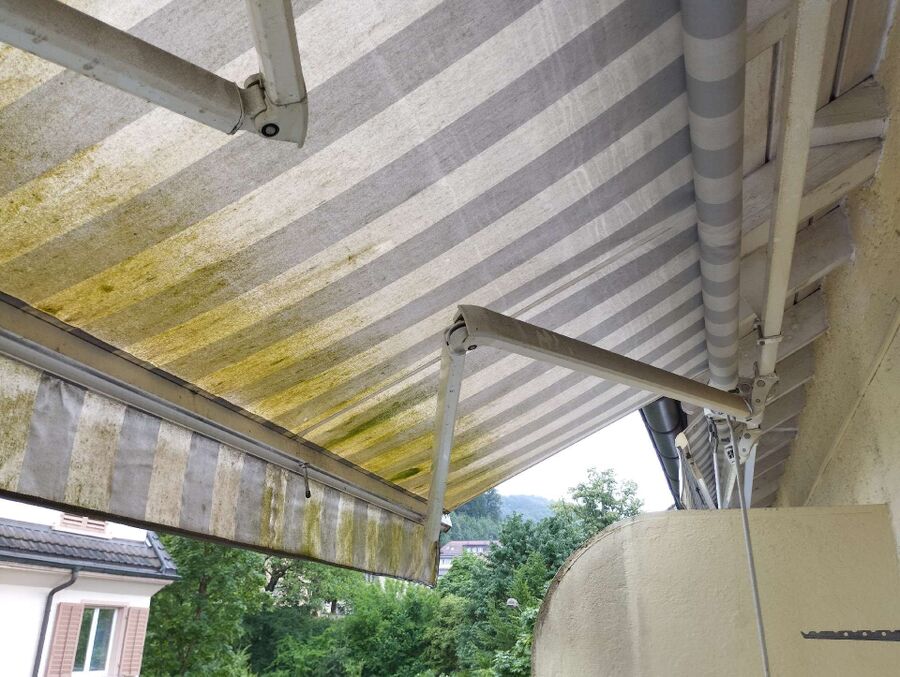 nid d abeille que faire