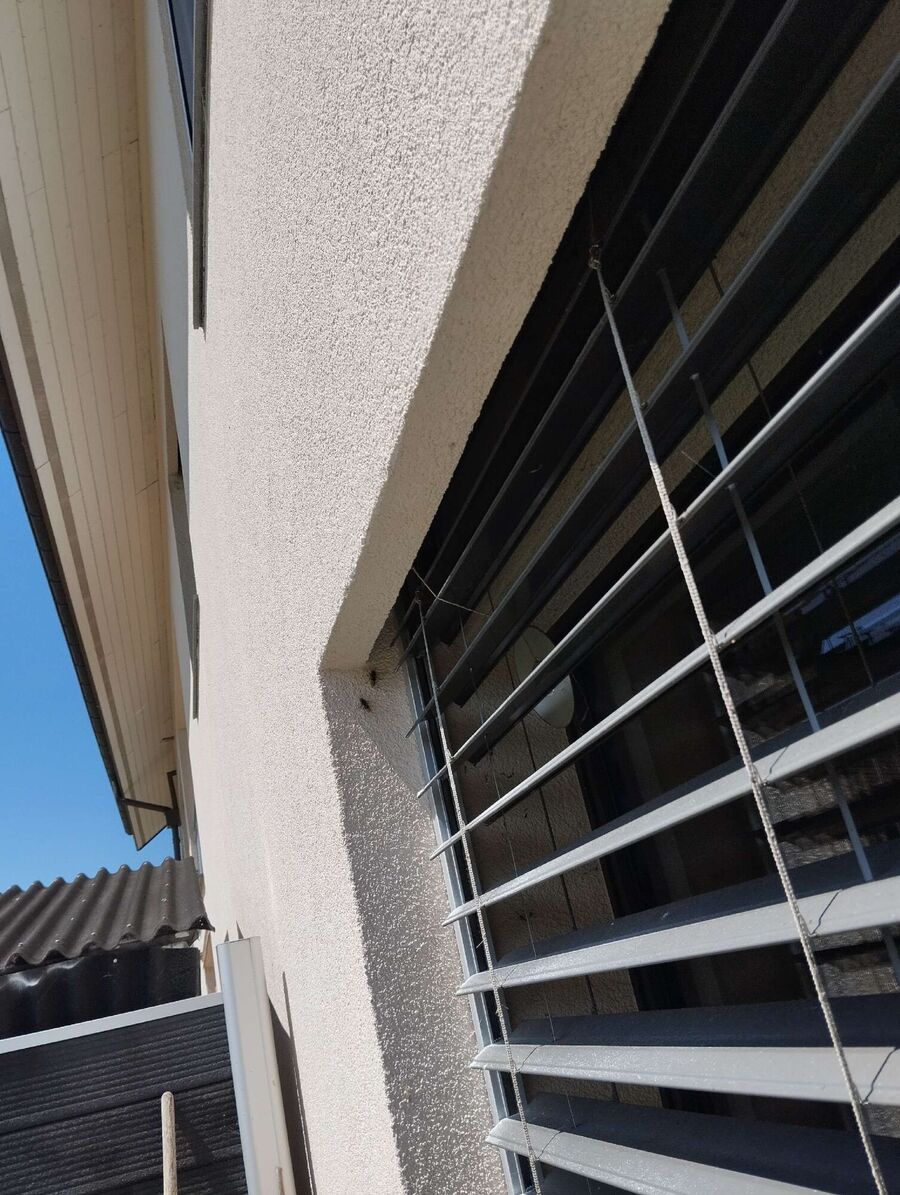 enlever un nid d abeille