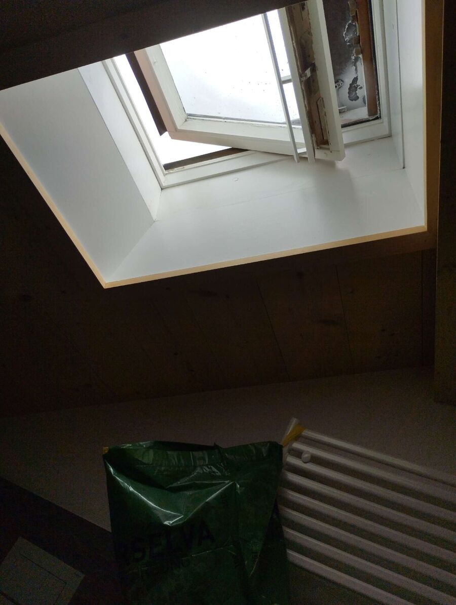 ruche abeille maison que faire