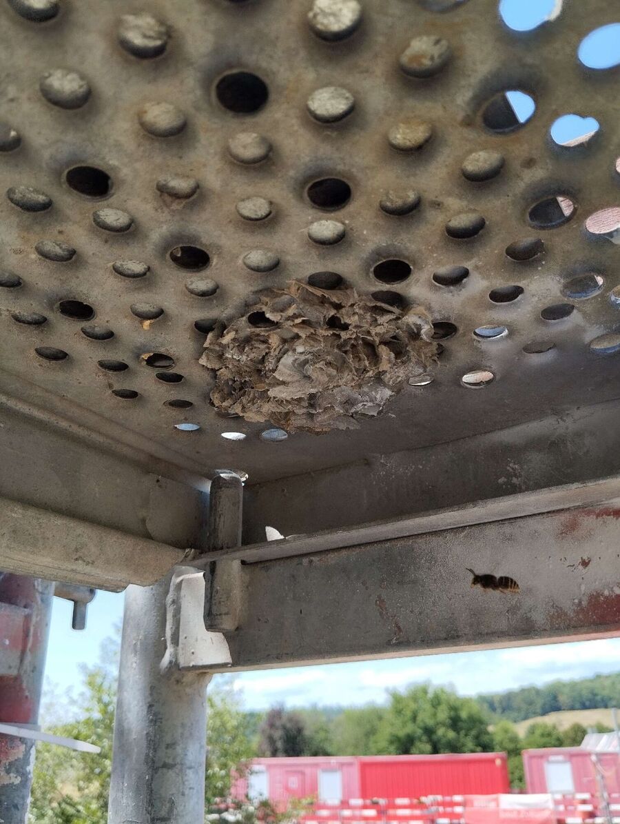 enlever un nid d abeille