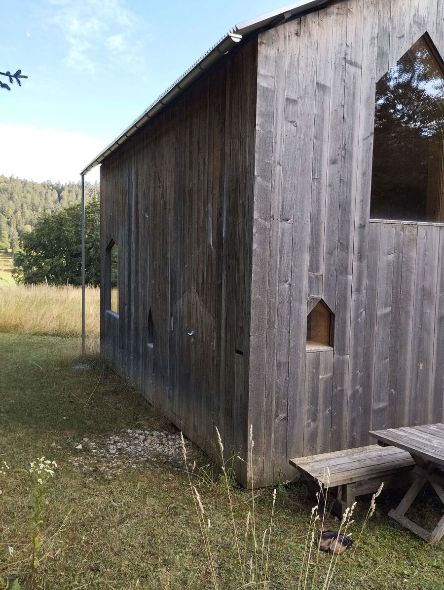 essaim d abeille enlevement