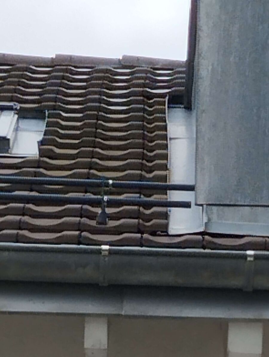 nid d abeille que faire