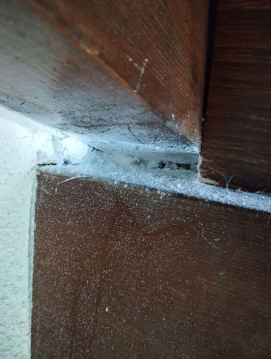 ruche abeille maison que faire