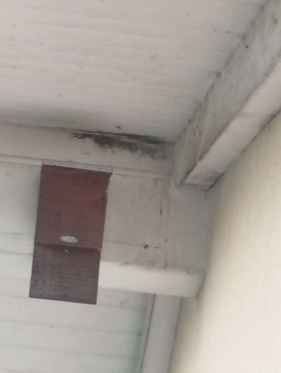 nid d abeille que faire