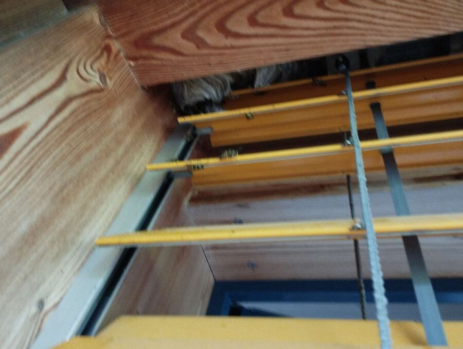 essaim d abeille enlevement