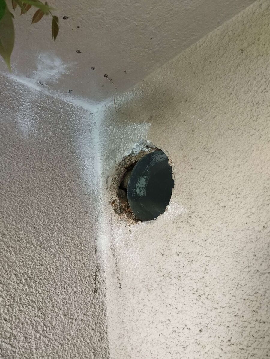 nid d abeille que faire