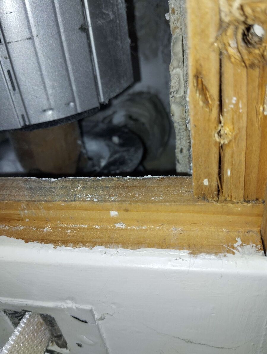 nid d abeille que faire