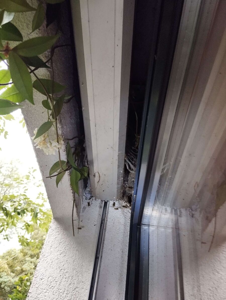 enlever un nid d abeille