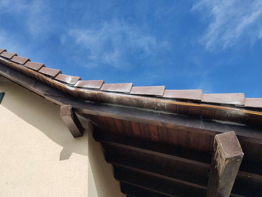 ruche abeille maison que faire