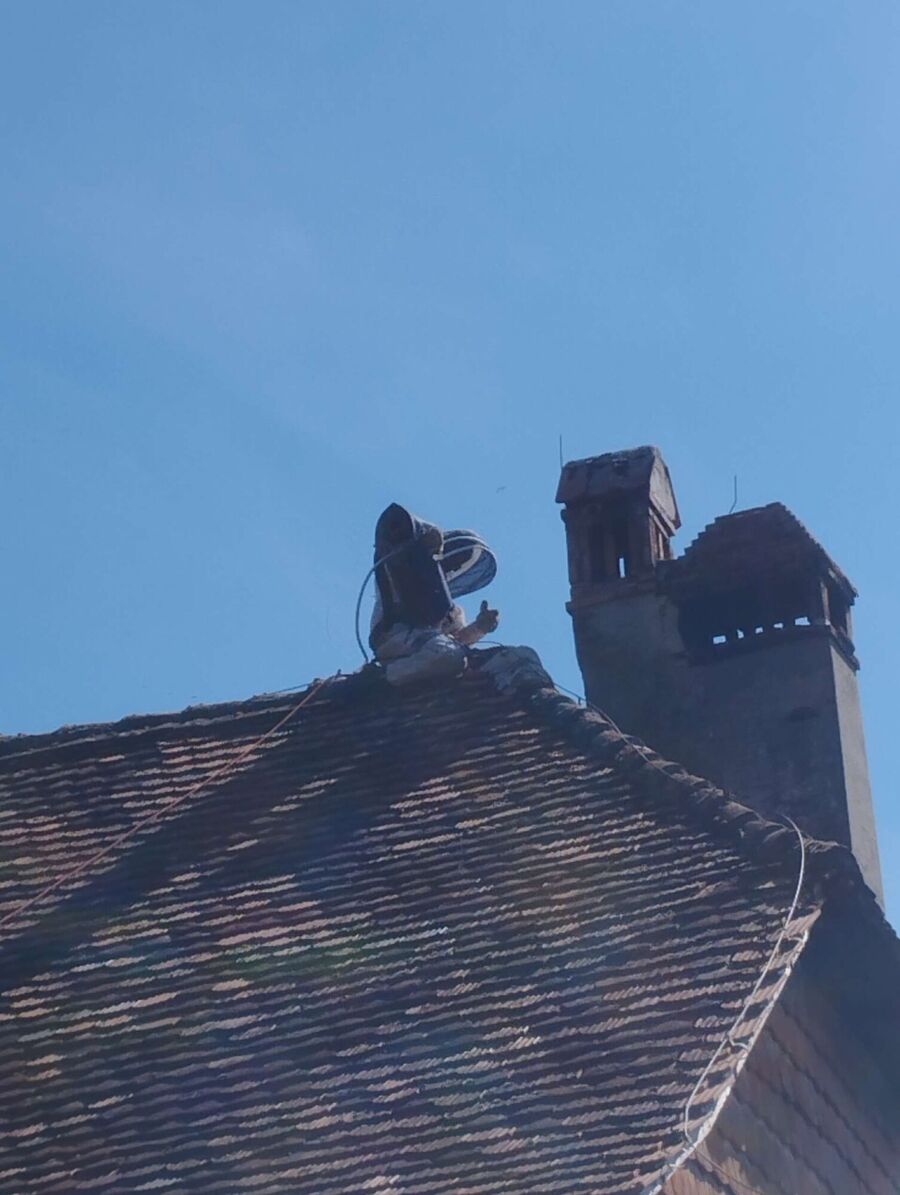 ruche abeille maison que faire