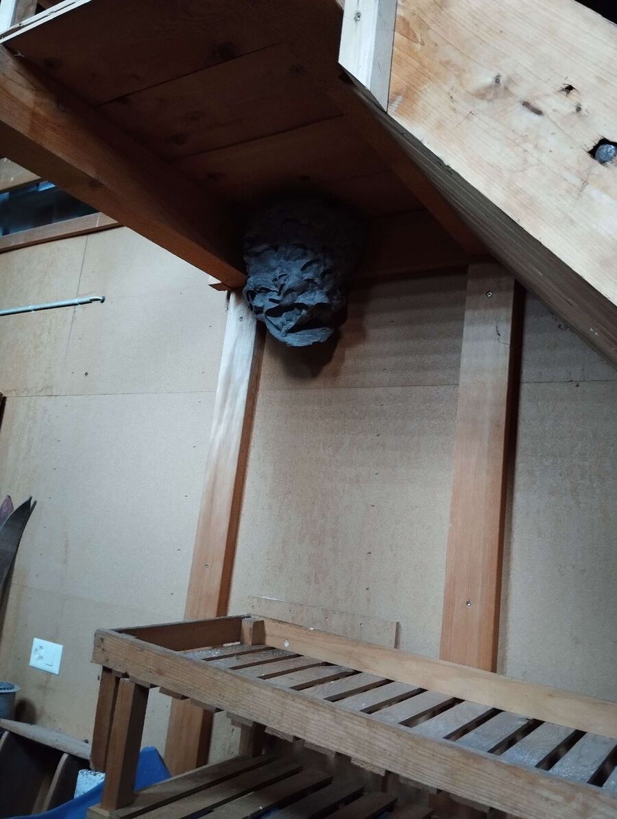 enlever un nid d abeille