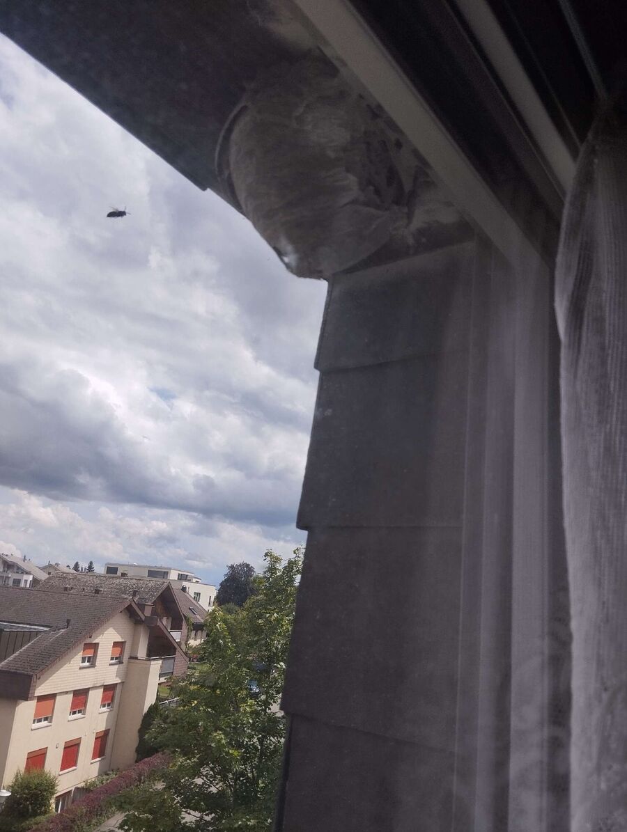 enlever un nid d abeille