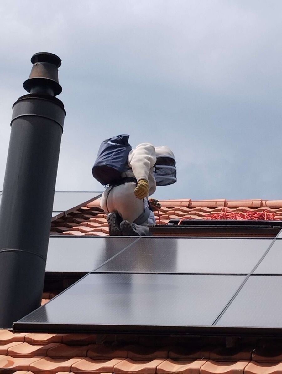 nid d abeille que faire