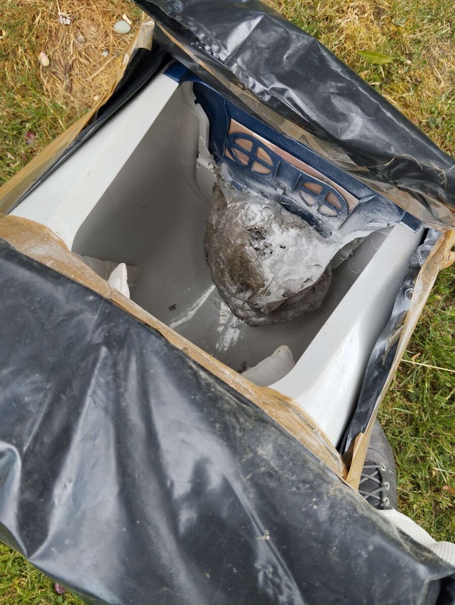 ruche abeille maison que faire