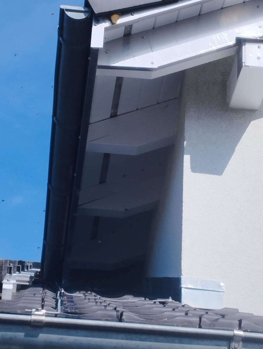 essaim d abeille enlevement