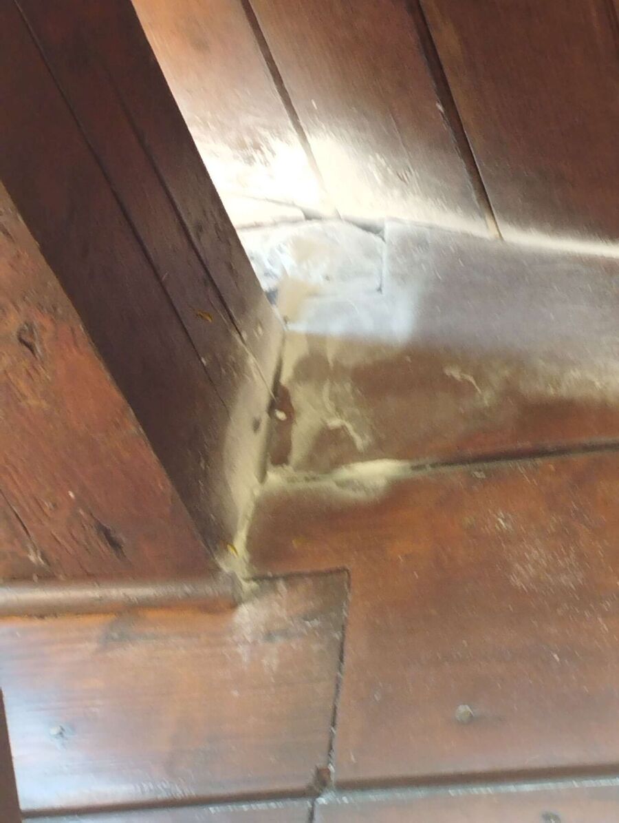 essaim d abeille enlevement