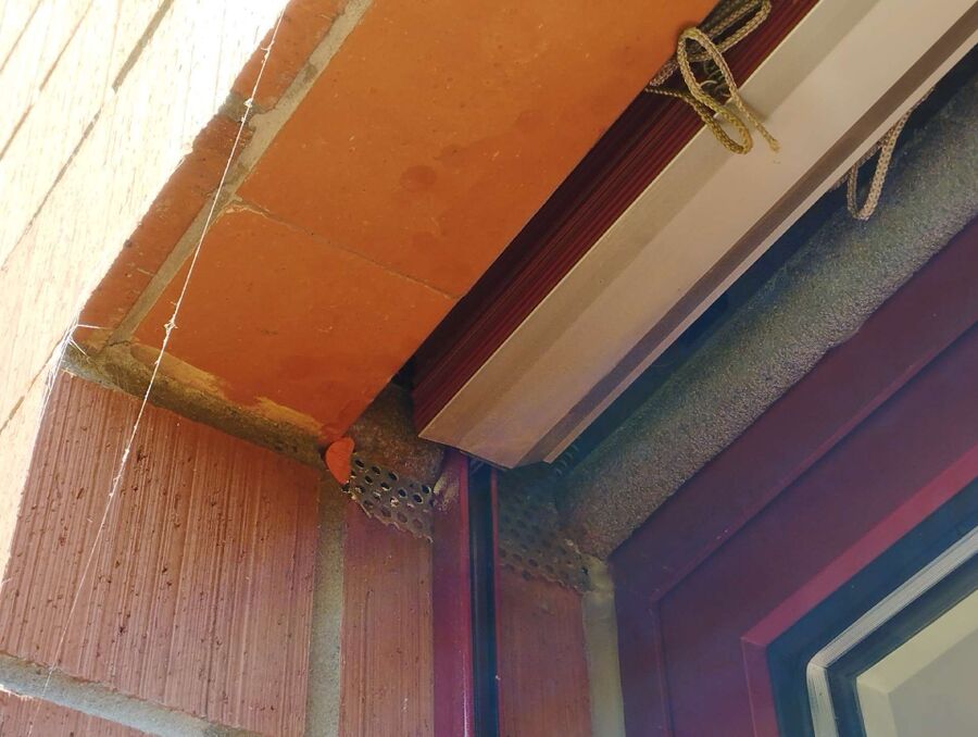 nid d abeille que faire