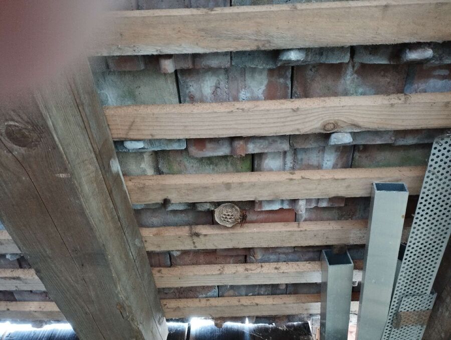 nid d abeille que faire