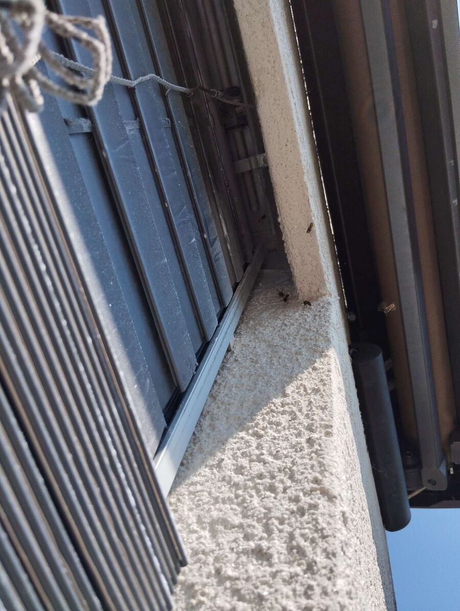 enlever un nid d abeille