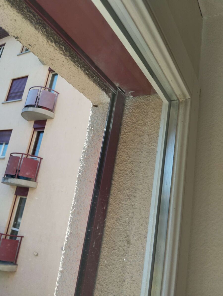 ruche abeille maison que faire