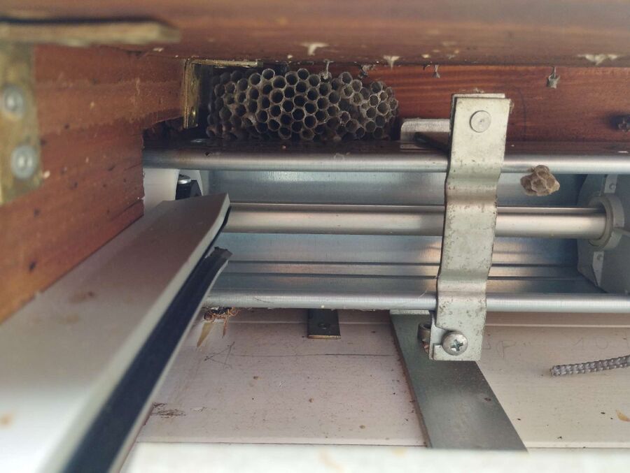 ruche abeille maison que faire