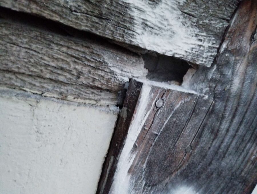 enlever un nid d abeille