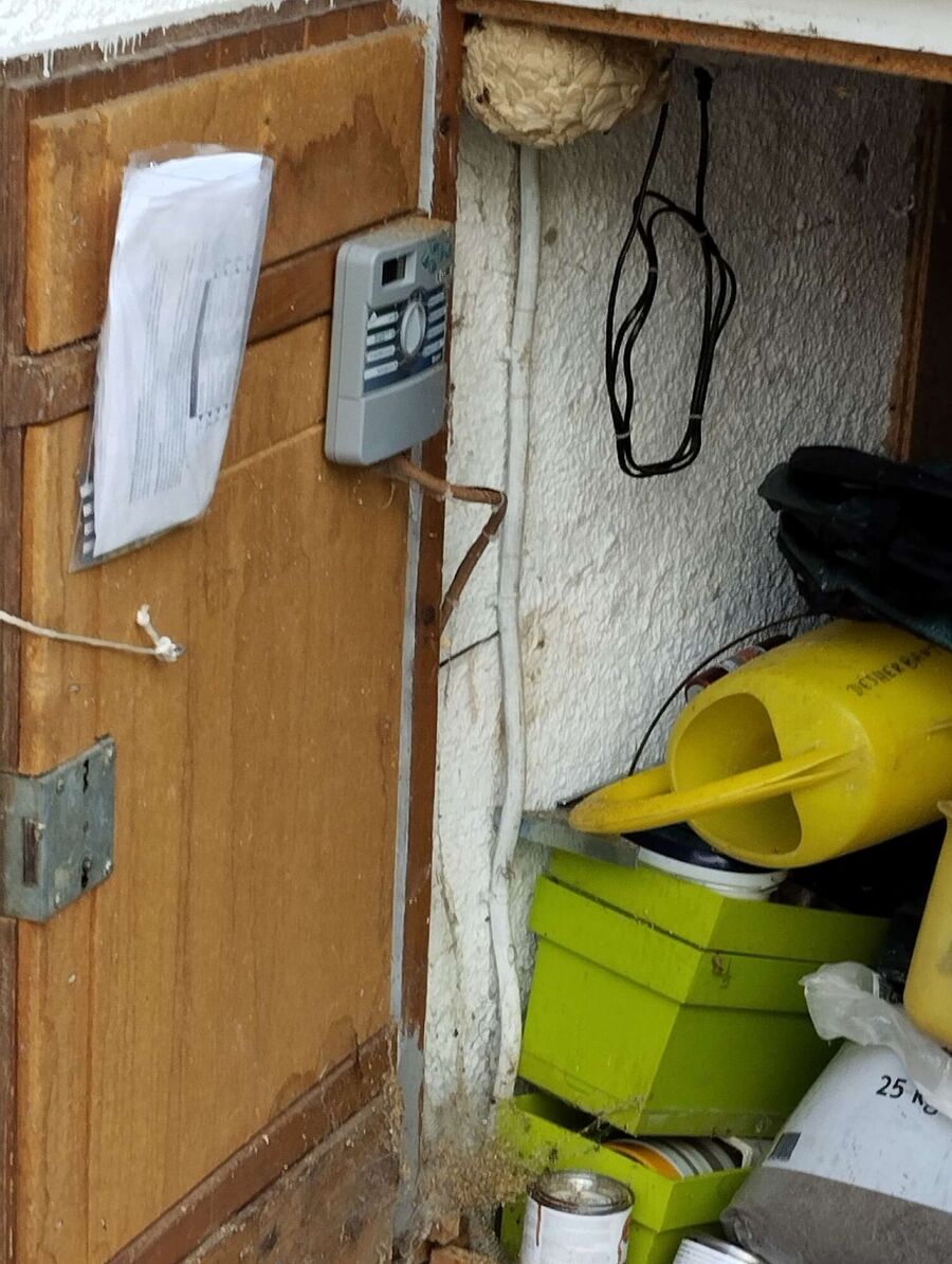 nid d abeille que faire