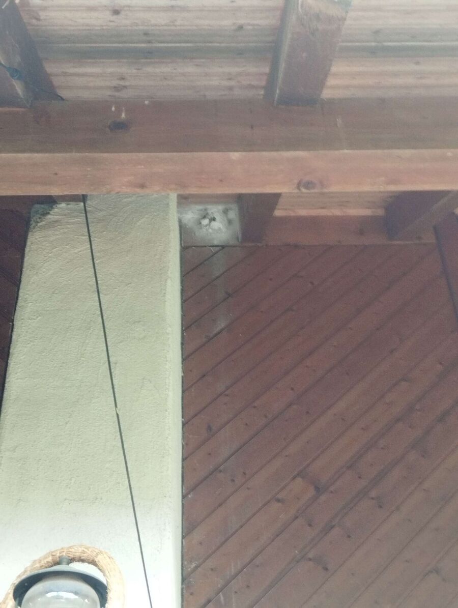 enlever un nid d abeille