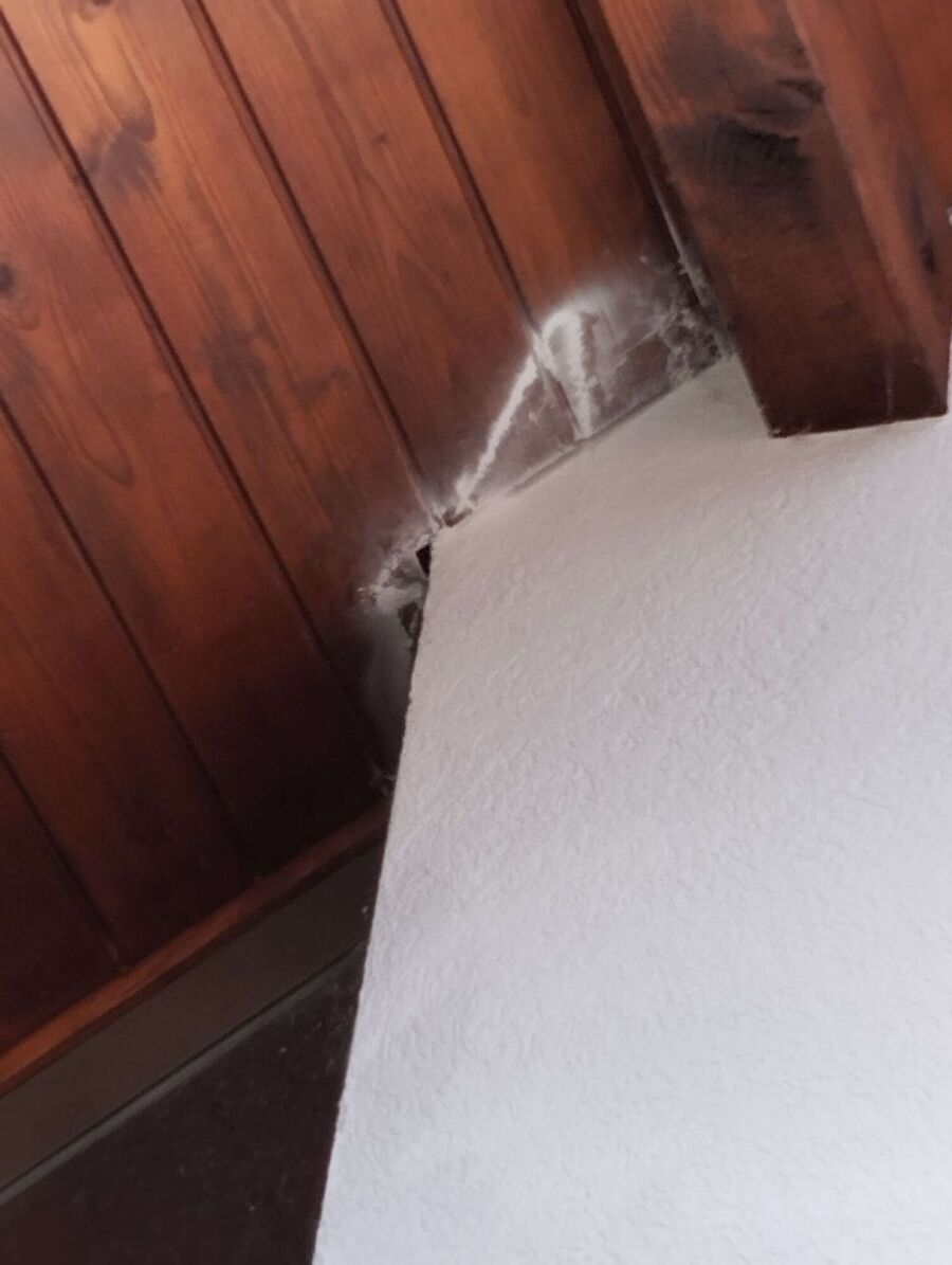 essaim d abeille enlevement