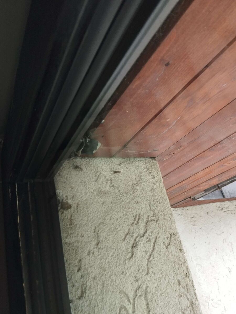 nid d abeille que faire