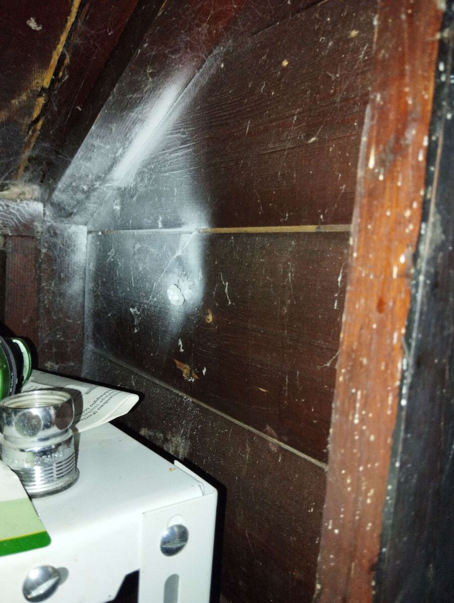 nid d abeille que faire