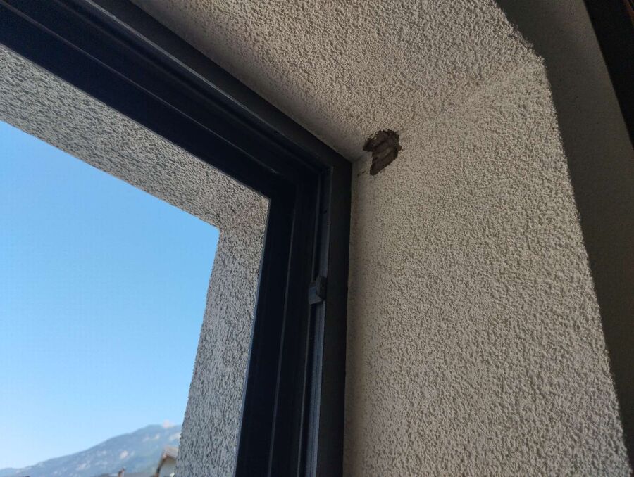 enlever un nid d abeille