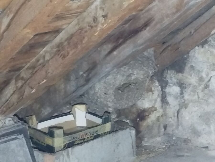 essaim d abeille enlevement