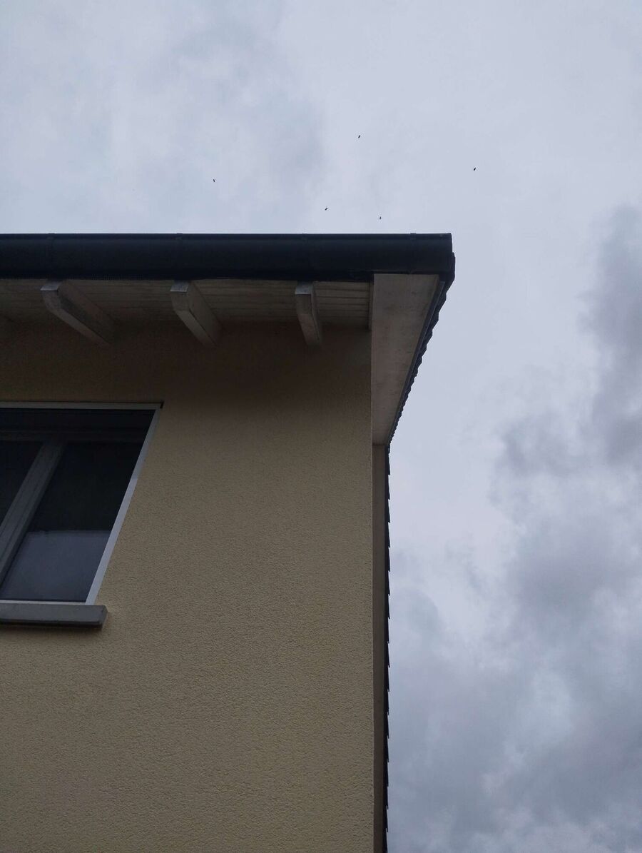 enlever un nid d abeille