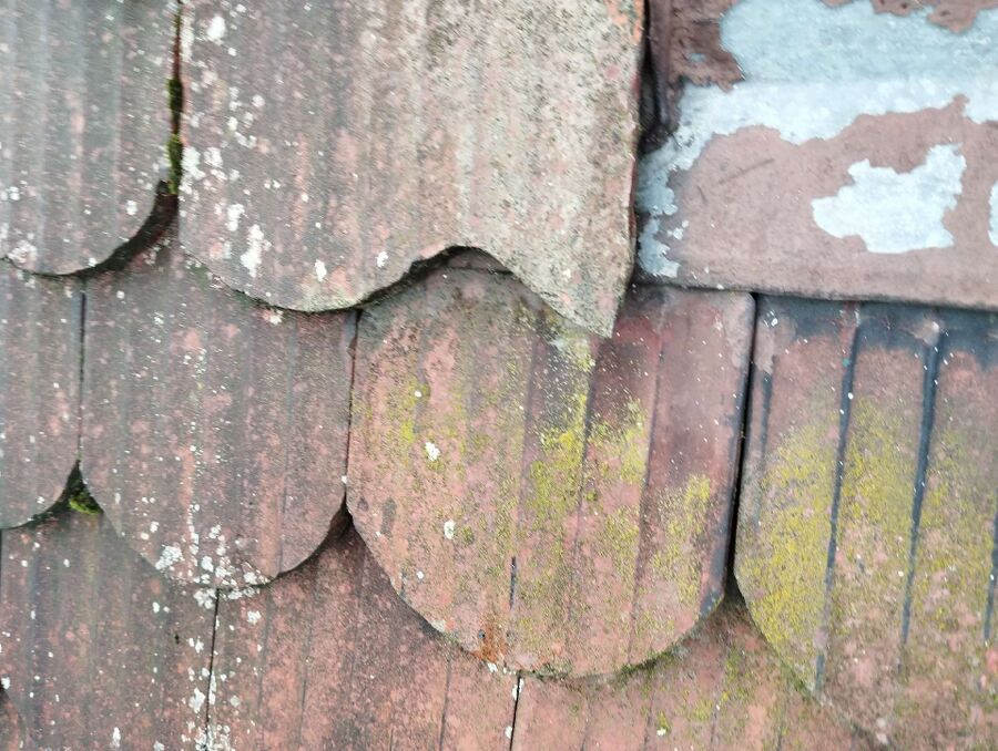 ruche abeille maison que faire