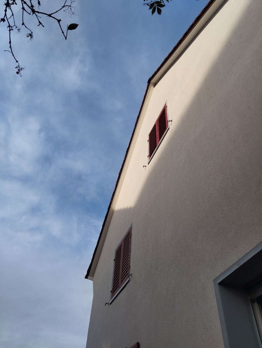 essaim d abeille enlevement