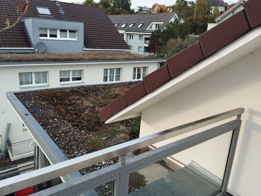 essaim d abeille enlevement