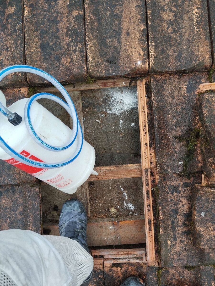 ruche abeille maison que faire