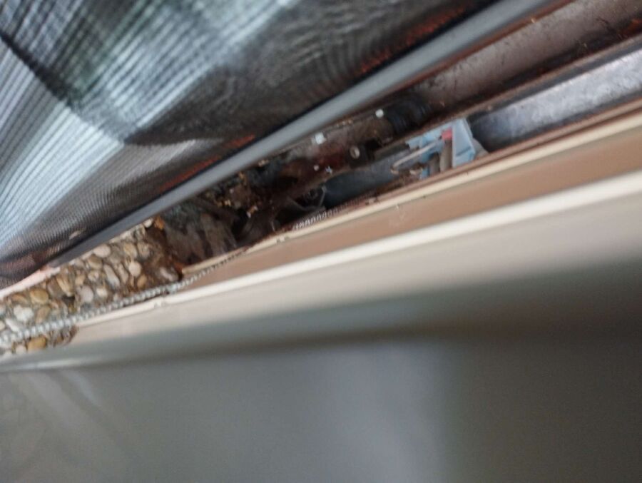 nid d abeille que faire