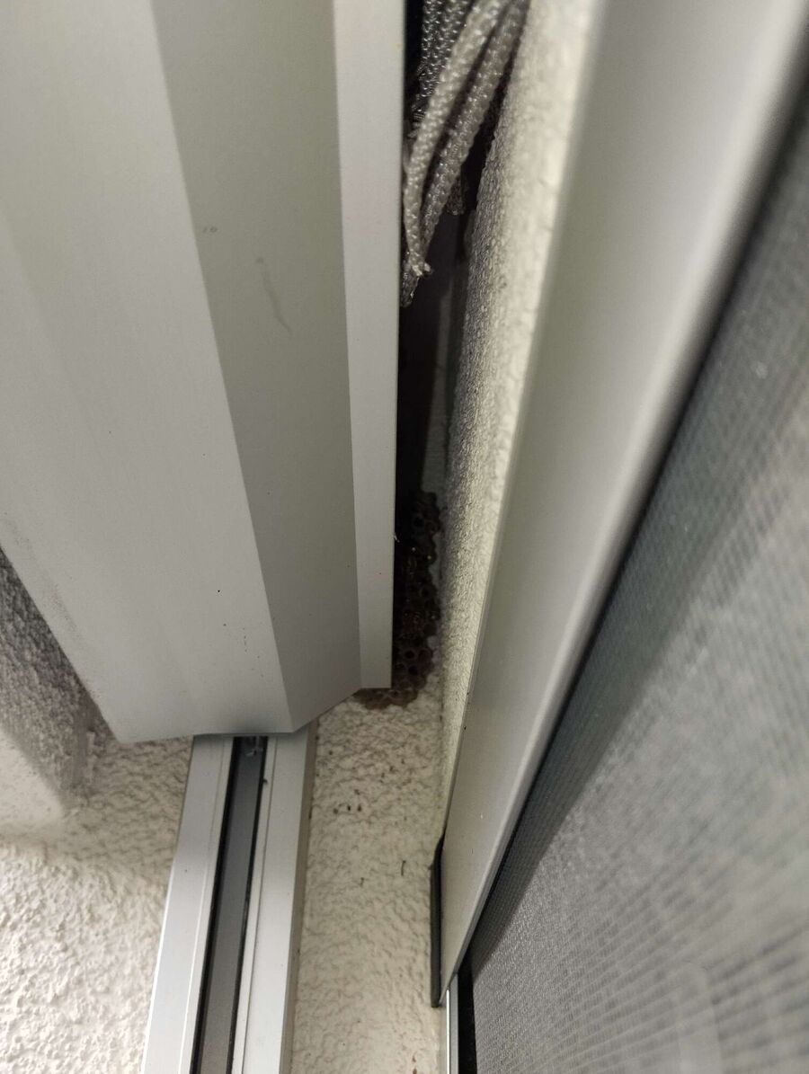 enlever un nid d abeille