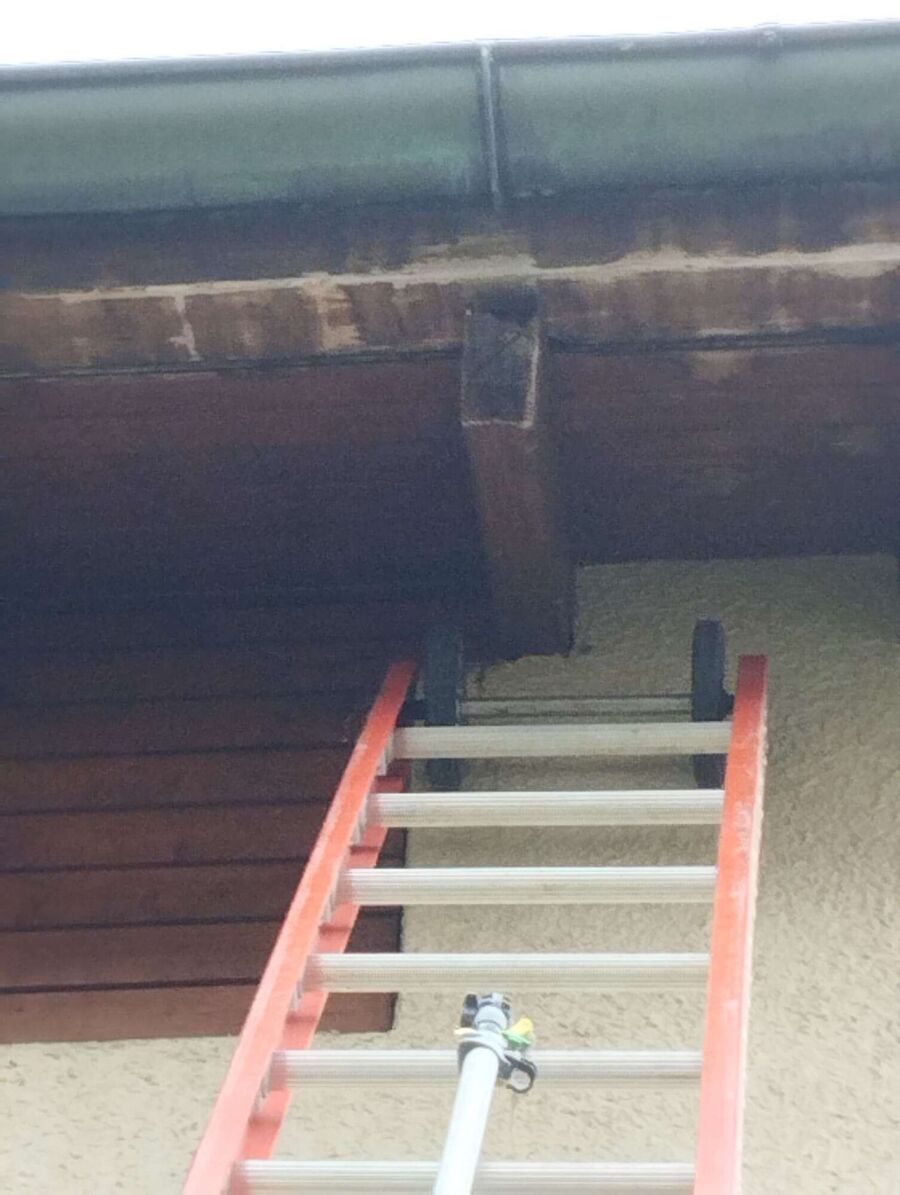 nid d abeille que faire