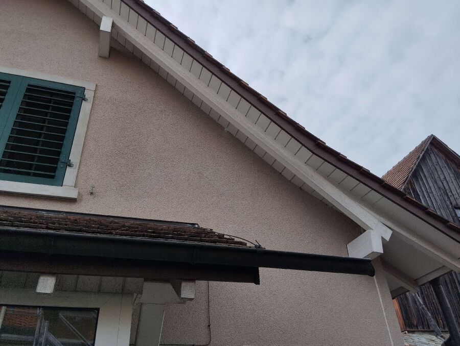 essaim d abeille enlevement