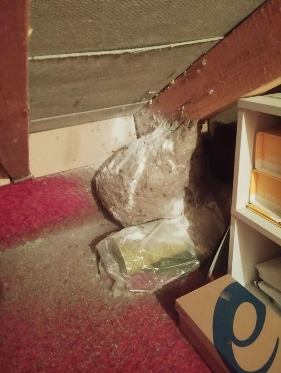 enlever un nid d abeille