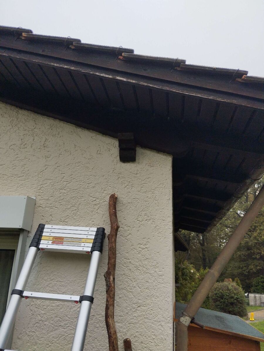 nid d abeille que faire