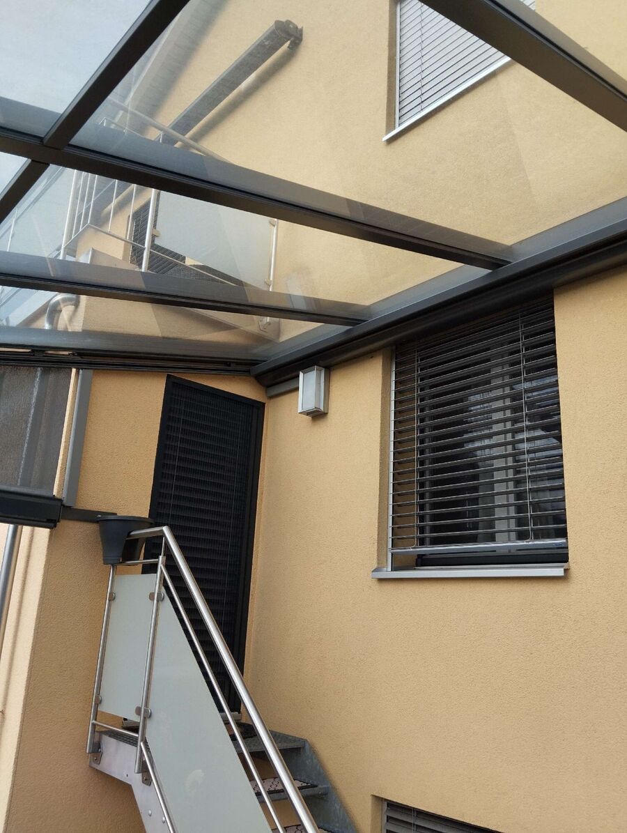 essaim d abeille enlevement